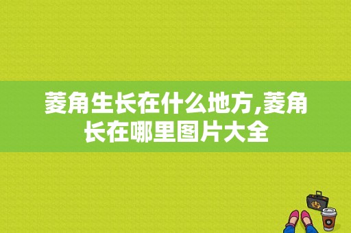 菱角生长在什么地方,菱角长在哪里图片大全