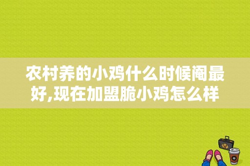 农村养的小鸡什么时候阉最好,现在加盟脆小鸡怎么样了