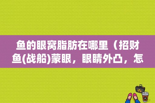 鱼的眼窝脂肪在哪里（招财鱼(战船)蒙眼，眼睛外凸，怎么办那）