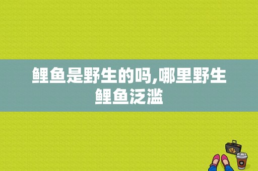 鲤鱼是野生的吗,哪里野生鲤鱼泛滥