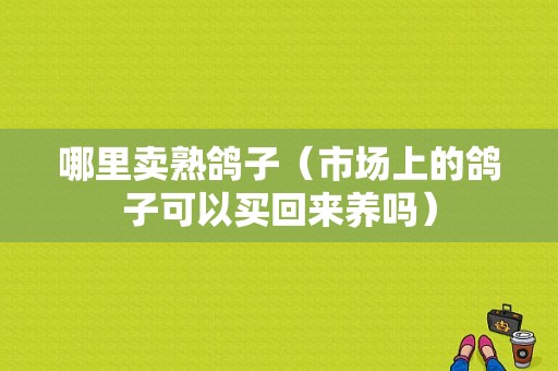 哪里卖熟鸽子（市场上的鸽子可以买回来养吗）