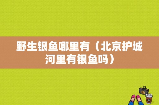 野生银鱼哪里有（北京护城河里有银鱼吗）