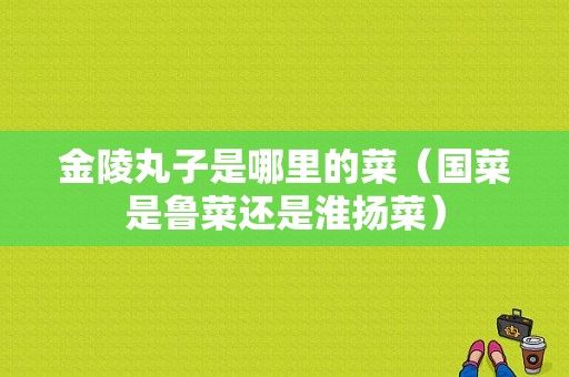 金陵丸子是哪里的菜（国菜是鲁菜还是淮扬菜）