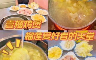 广州哪里有榴莲鸡煲（广州哪里有榴莲鸡煲店）