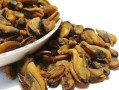 淡菜哪里不能吃（淡菜哪里不能吃图解）
