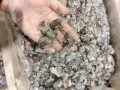 国内墨鱼有几种，主要产地是哪,墨鱼仔是哪里的特产