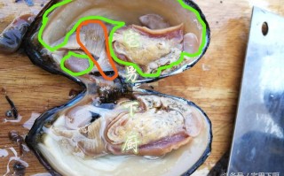 河蚌肉哪里能吃图解（河蚌肉那里能吃?）