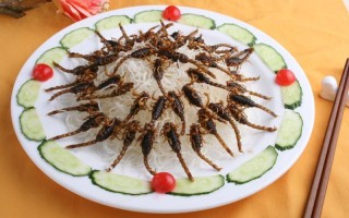 油炸蝎子哪里进货（油炸蝎子哪里进货的）