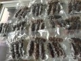 天津哪里卖海参（新海港附近特产）