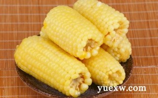 煮玉米去哪里能批发到（我想煮新鲜的玉米卖，不知道从哪里进货？城阳批发市场有吗）