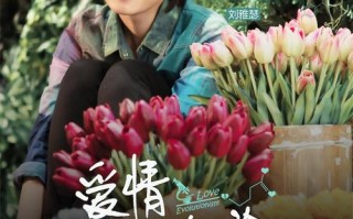 友达面馆加盟怎么样（电影《爱情进化论》好看吗）