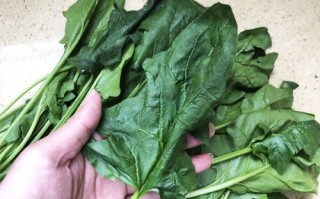 买菠菜是什么意思,菠菜在哪里买