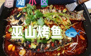 成都东韵花园附近的餐饮,巫山龙门鱼府怎么样啊