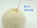 椰子哪里的好喝,哪里的椰子好喝又便宜