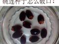 莲子圆哪里有（碗莲子从哪个位置开口）