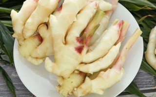 哪里有鲜仔姜（哪里有鲜仔姜卖啊）