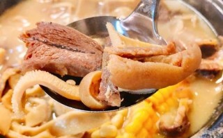 在广州哪里吃羊肉煲（花都羊肉煲哪家最好）