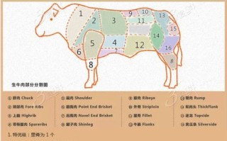 牛肉哪里最嫩（牛肉最嫩的部位排名）