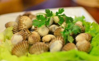 血蛤是哪里的（清蒸哈士蟆是哪里的菜）