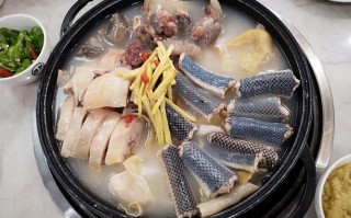 广州哪里吃蛇（广州哪里吃蛇最地道）