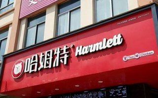 哈姆特这个牌子怎么样（哈姆特这个牌子怎么样啊）