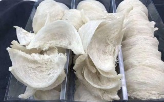 马来西亚叶燕窝产地,马来西亚哪里燕窝多一点