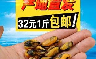 淡菜干哪里有卖（淡菜干哪里有卖的）