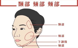 下巴是哪里（下颏与下颌的区别）