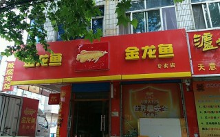 鱼的店怎么样（鱼的店怎么样赚钱）