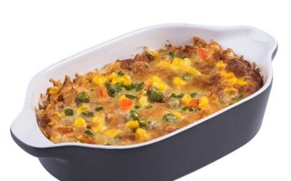 焗饭是哪里的（烤箱焗饭用的碗,家里用的普通碗可以吗,还是需要格外买,哪里有卖的）