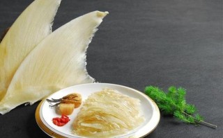哪里买鱼翅（和平小店能用鱼翅购买吗）