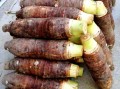 哪里的芋头好（中国哪里的香芋最好）