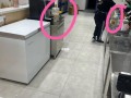 益禾堂员工宿舍怎么样（益禾堂员工宿舍怎么样）