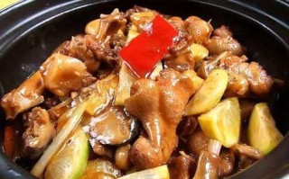 沙锅鸭是哪里（砂锅鸭做法）