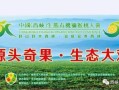 西峡哪里有猕猴桃（西峡猕猴桃文案）