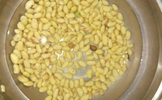 怎样保存黄豆,黄豆放哪里保存