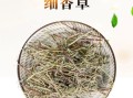 香草哪里能买到（香草哪里能买到正品）