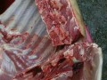 野猪肉哪里最好（野猪最贵的部位）