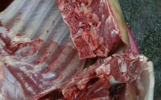野猪肉哪里最好（野猪最贵的部位）