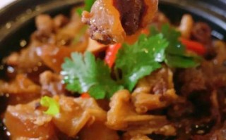 腩朝鲜牛腩怎么样（七字菜品名称）