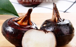 哪里买茡荠（哪里可以买到荠菜）