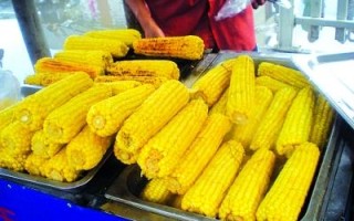 东北玉米为何要煮熟卖,哪里有卖煮玉米的