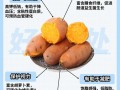 红薯哪里有营养（红薯哪里有营养价值）