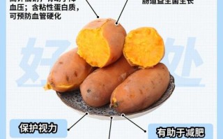 红薯哪里有营养（红薯哪里有营养价值）