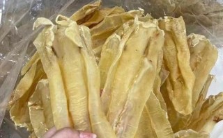 一般什么地方有买鱼胶,哪里有卖鱼胶的