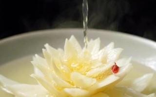 北京开水白菜哪里吃,开水白菜是哪里的菜系