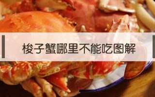 梭子蟹哪里不能吃（梭子蟹什么情况不能吃）