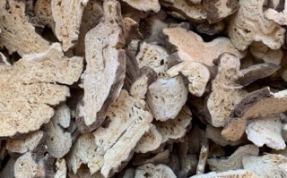 白术哪里的好（中国白术哪里产的最好）