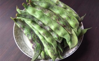 豆角产地哪里最好,豆角哪里好吃一点