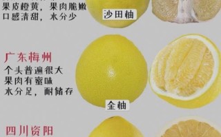 柚子哪里的好（柚子四大产地是哪里）